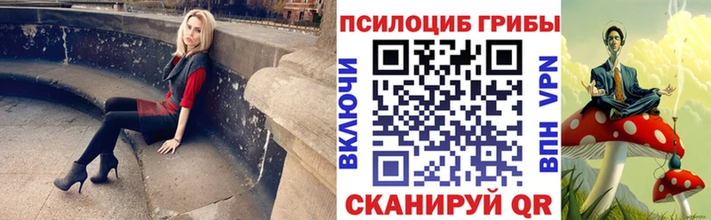 Галлюциногенные грибы Psilocybe  купить  цена  Лениногорск 