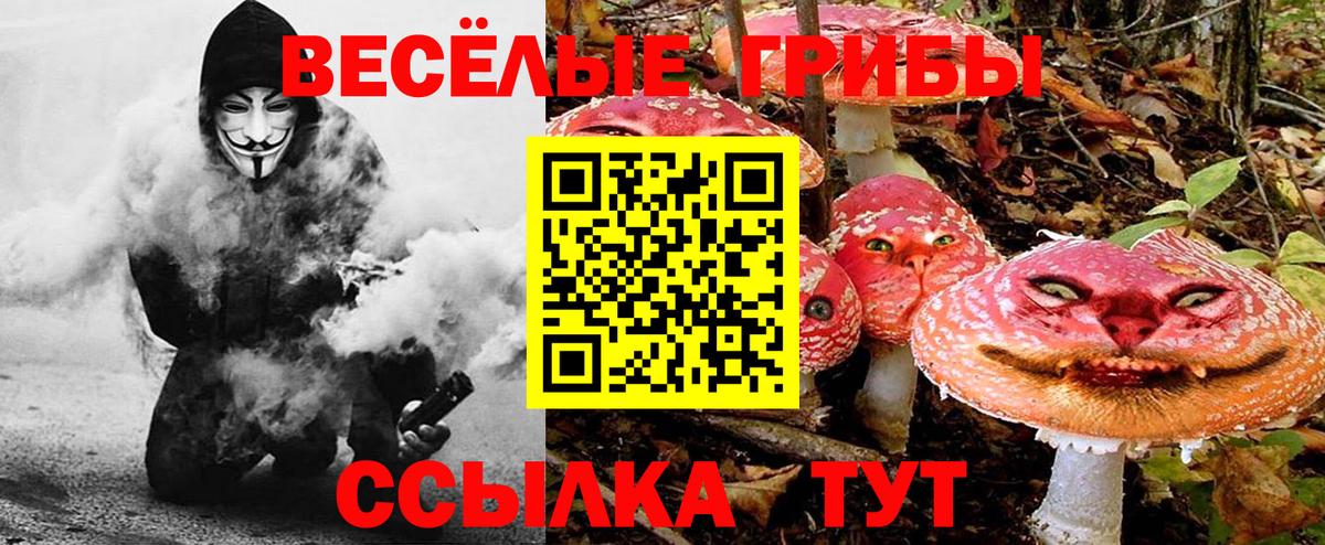 Галлюциногенные грибы Magic Shrooms Лениногорск