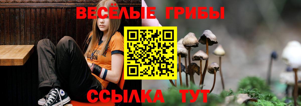Лениногорск  Псилоцибиновые грибы мицелий  Вход с VPN 